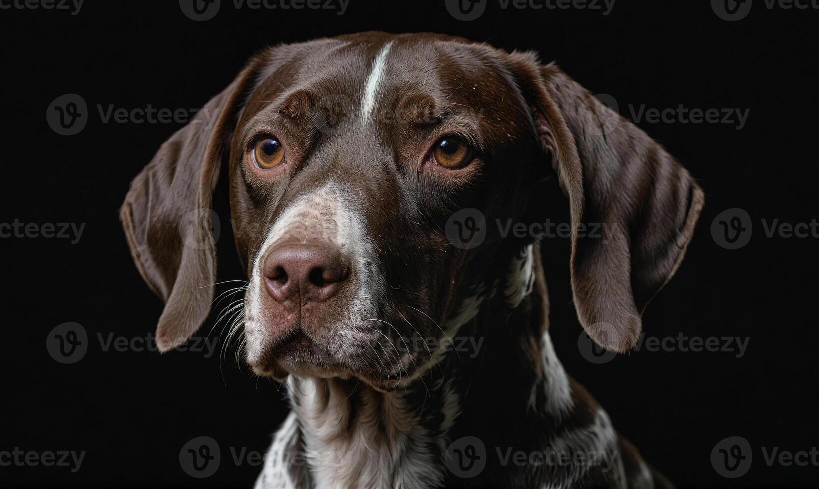 AI generated A brown and white dog with its head tilted to the side, looking up at the camera. photo