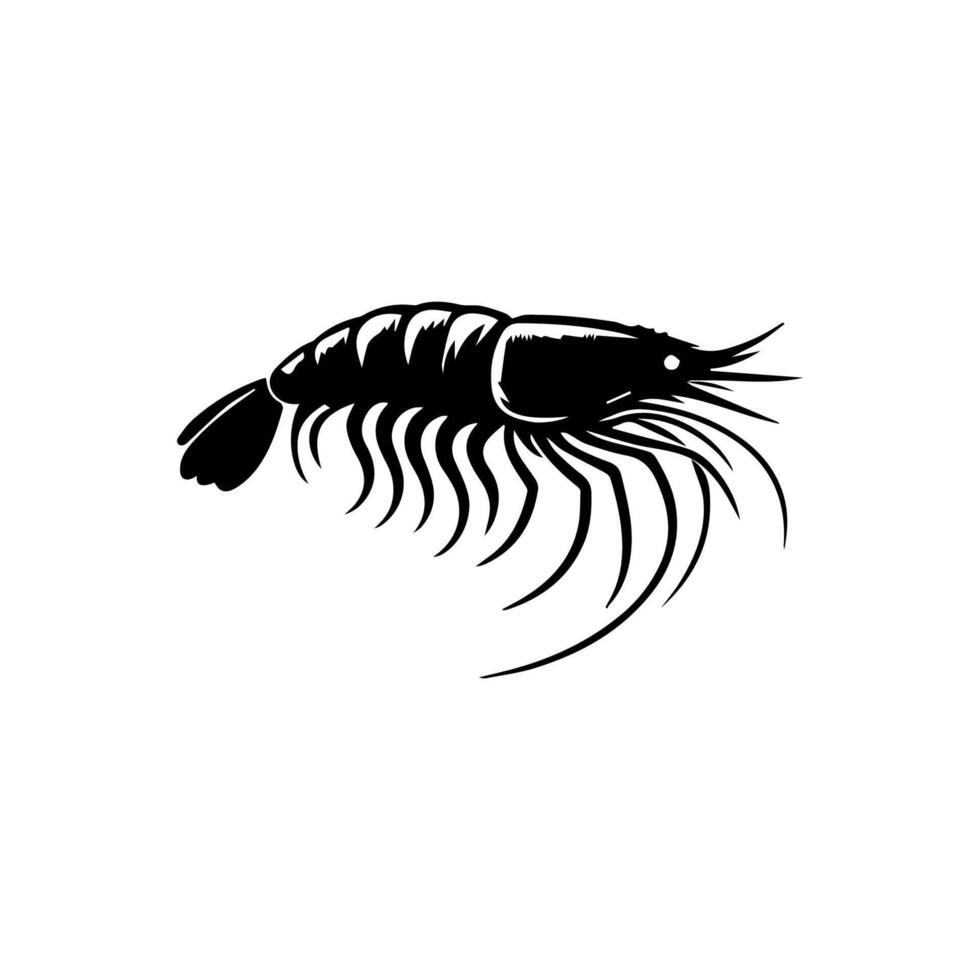 Shrimp sea Caridea animal engraving vector illustration. Scratch board style imitation. Black and white hand drawn image.