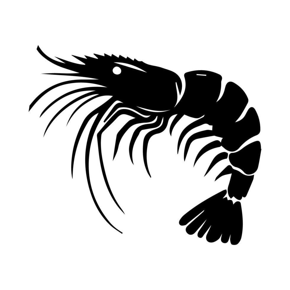 camarón mar caridea animal grabado vector ilustración. Imitación de estilo de tablero de rascar. imagen dibujada a mano en blanco y negro.