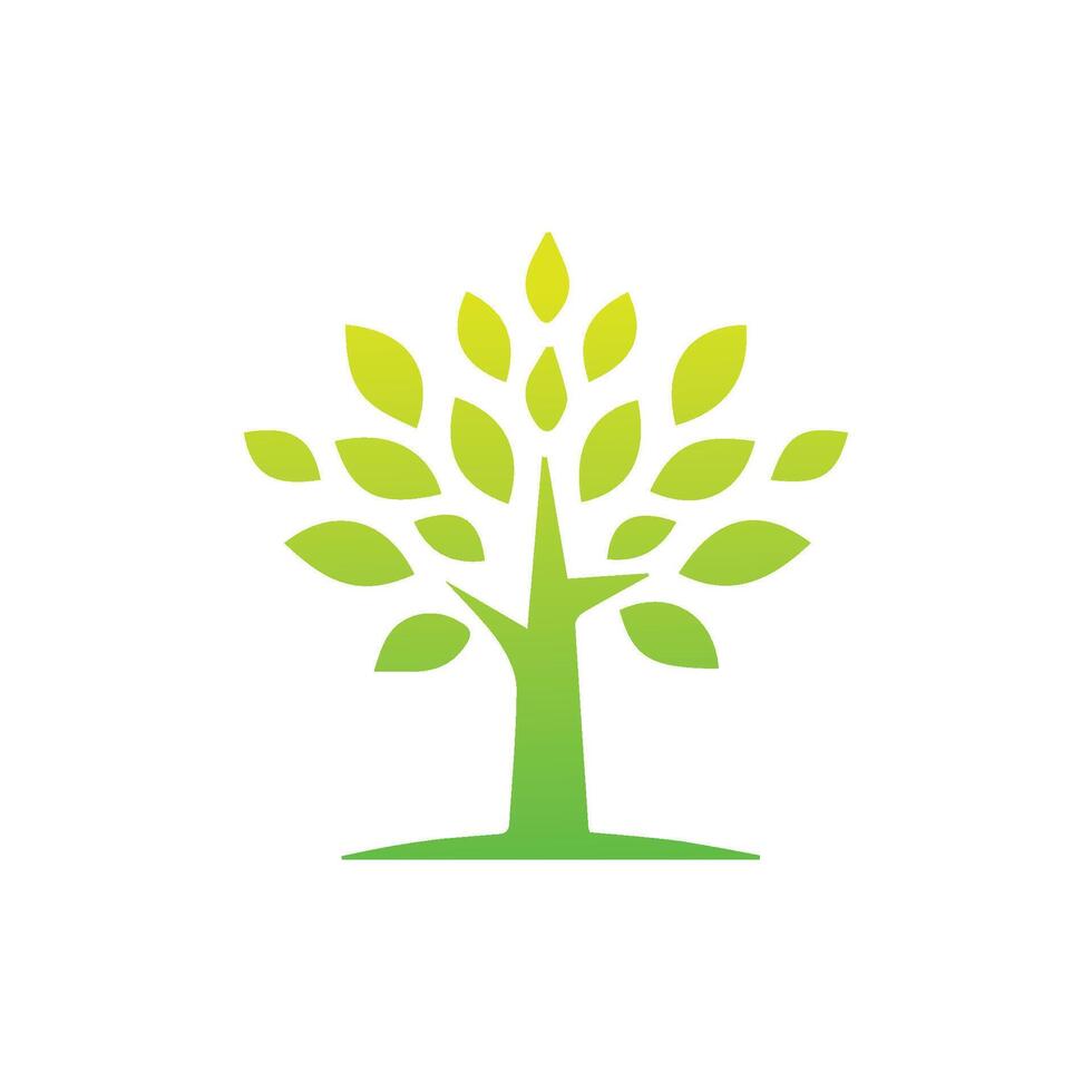 Tree icon concept of a stylized tree with leaves,  vector illustration