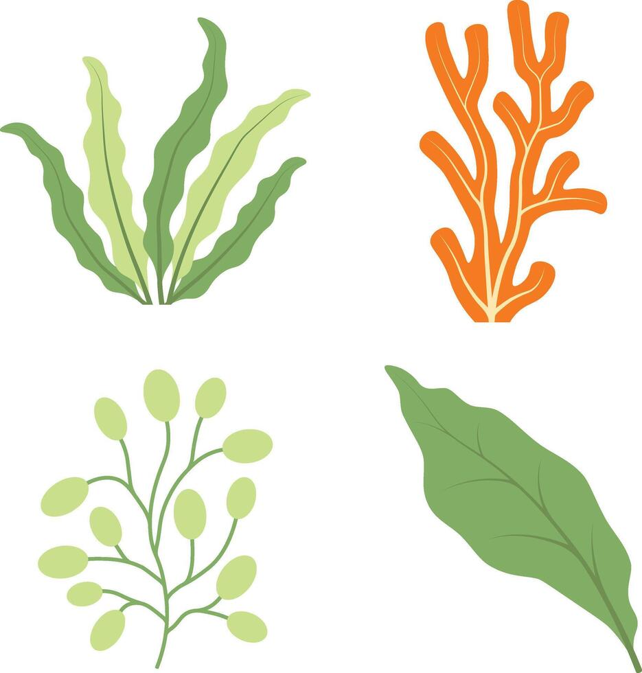 Set of Coral Reef Underwater. With Flat Design. Isolated Vector