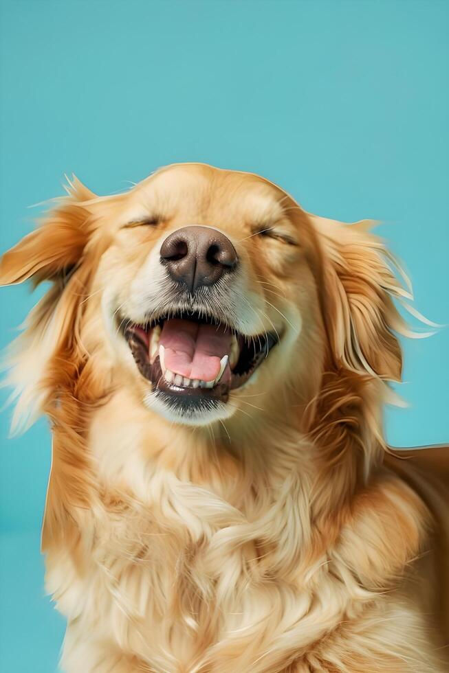 AI generated Content Canine Comfort Satisfied Dog in Relaxation photo