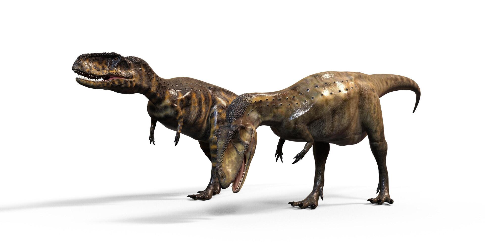 Dinosaur on white background photo