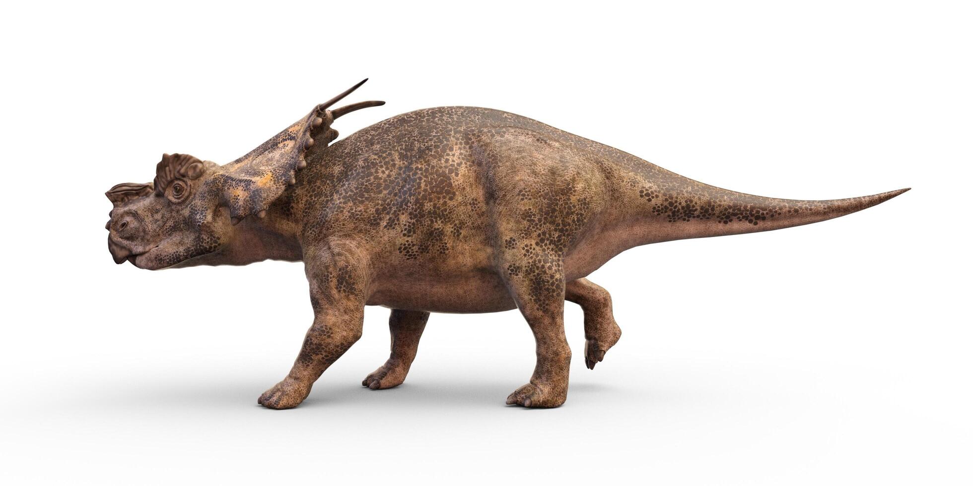 Dinosaur on white background photo