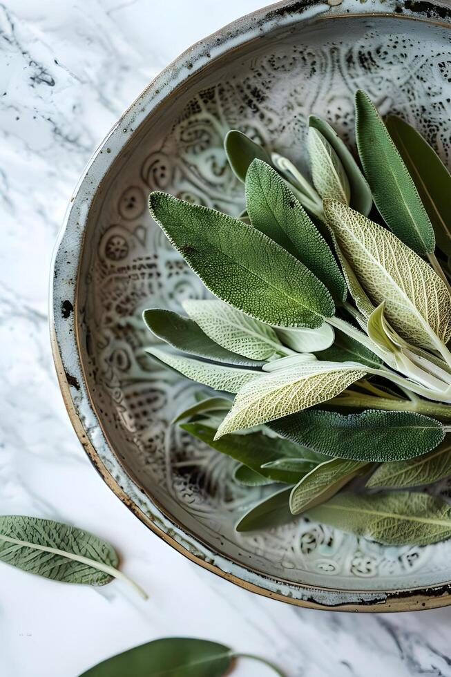 AI generated Fresh Sage Leaves photo