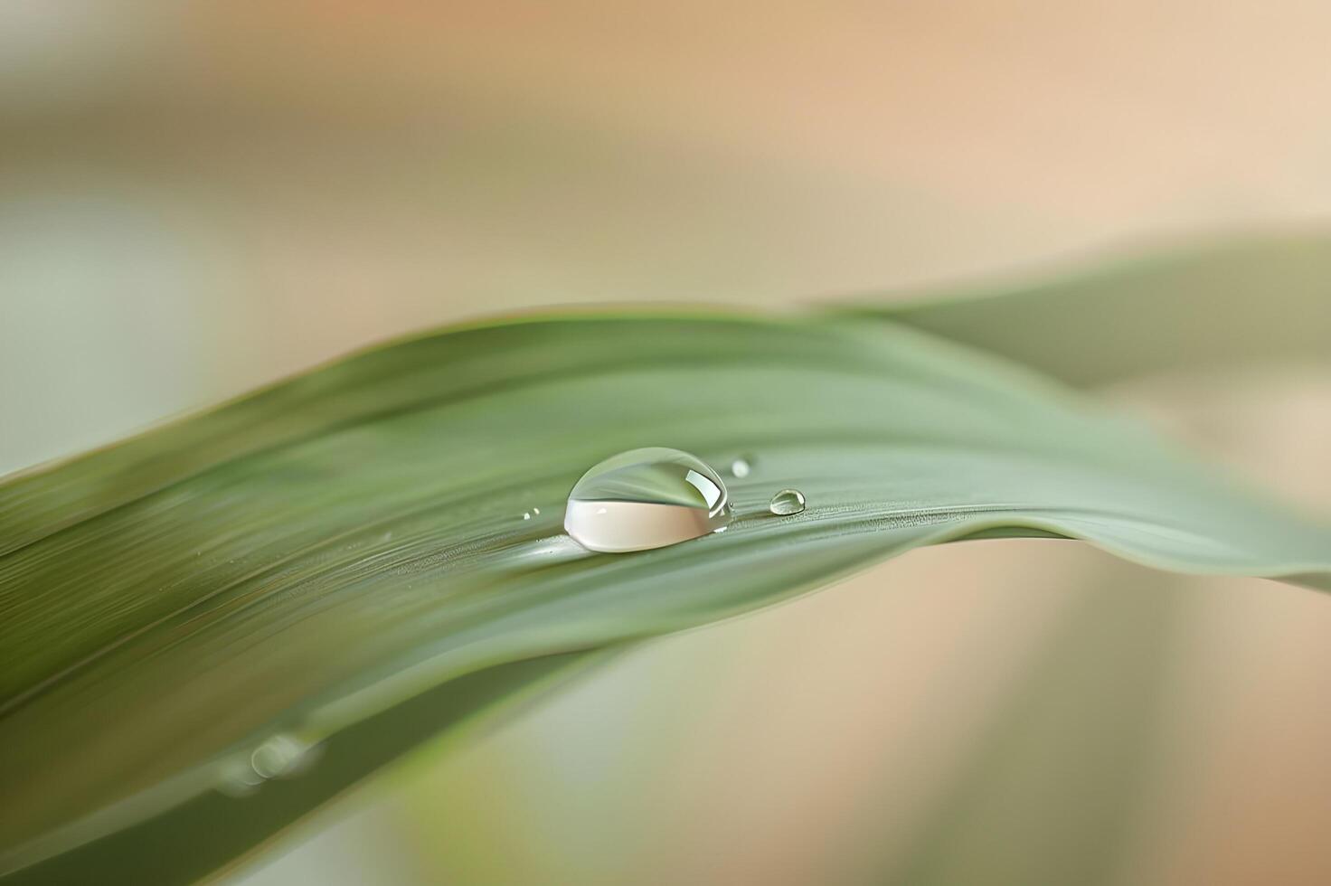 AI generated Refreshing Nature Water Droplet on Leaf photo