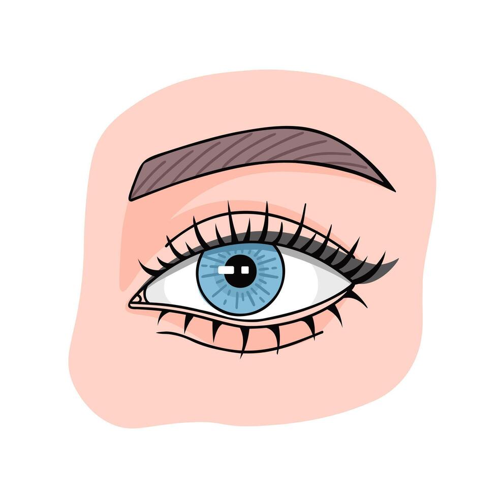 hermosa azul mujer ojo con largo pestañas ilustración para impresión, antecedentes, cubre y embalaje. imagen lata ser usado para tarjetas, carteles y pegatinas aislado en blanco antecedentes. vector