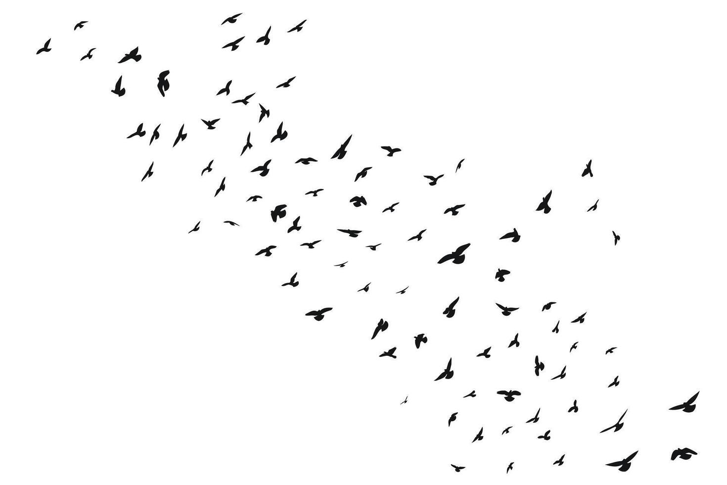 Silhouette sketch of a flock of flying forward birds. Takeoff, flying, flight, flutter, hover, soaring, landing vector