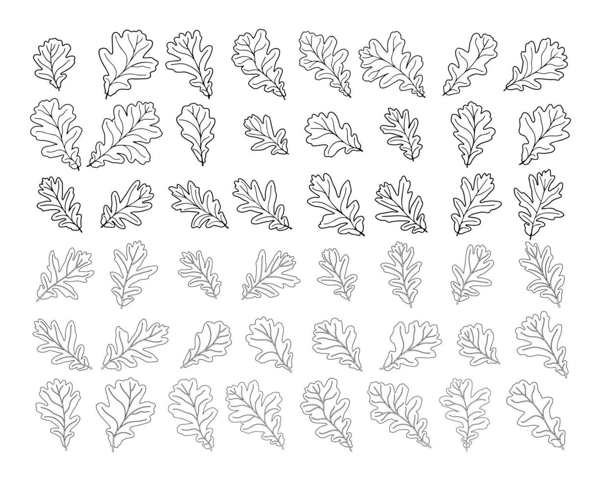 Set of shape of oak leaves, isolated vector