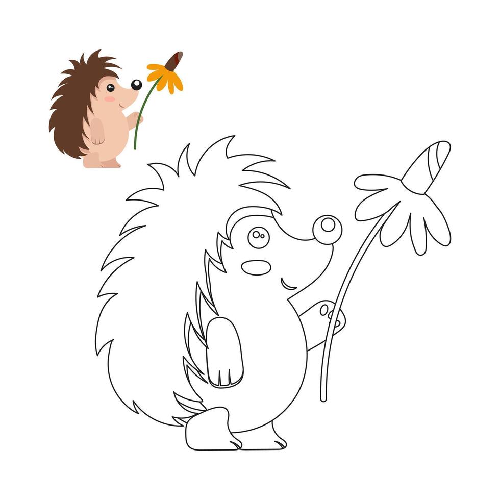 Coloring book for children, cute baby hedgehog with a flower. Illustration and sketch, vector