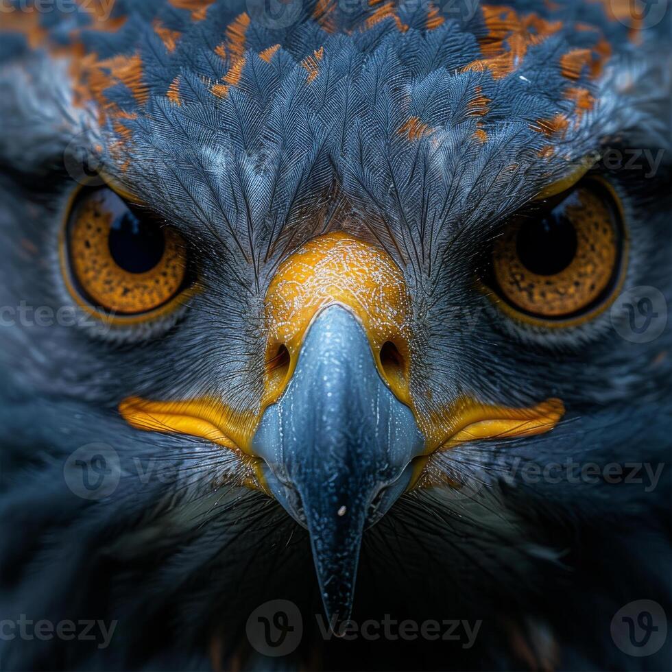 AI generated The eyes of hawk. A macro portrait of an eagle photo