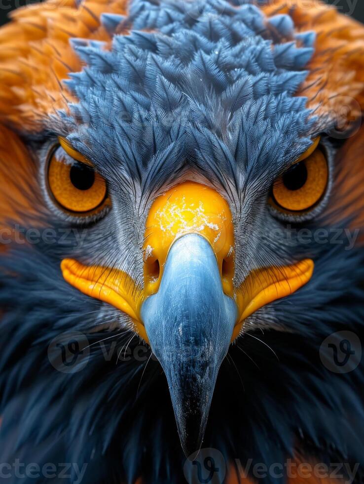 AI generated Eagle looking at the camera. A macro portrait of an eagle photo