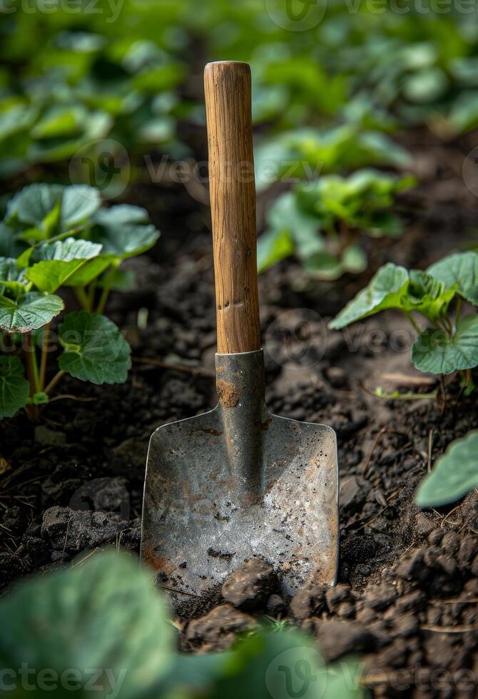 AI generated Shovel is stuck in the soil in garden photo
