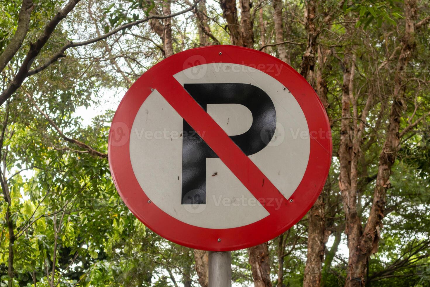 No parking sign with lush trees in background photo