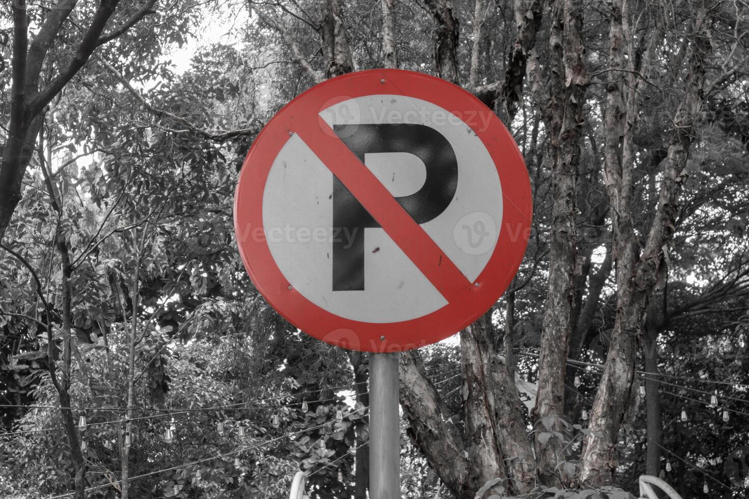 No parking sign with black and white background of lush trees photo