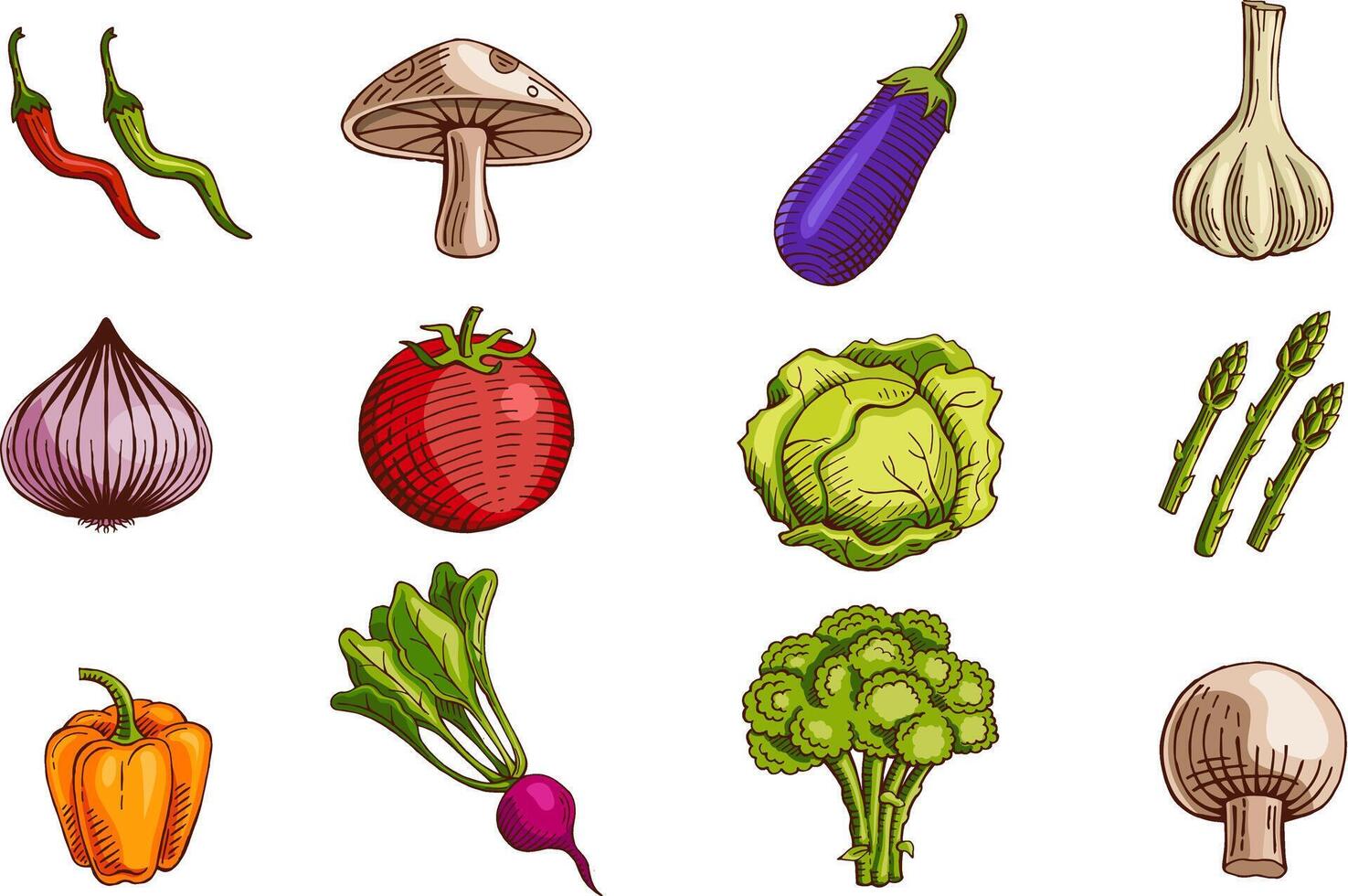 hand drawn color vegetables set vector