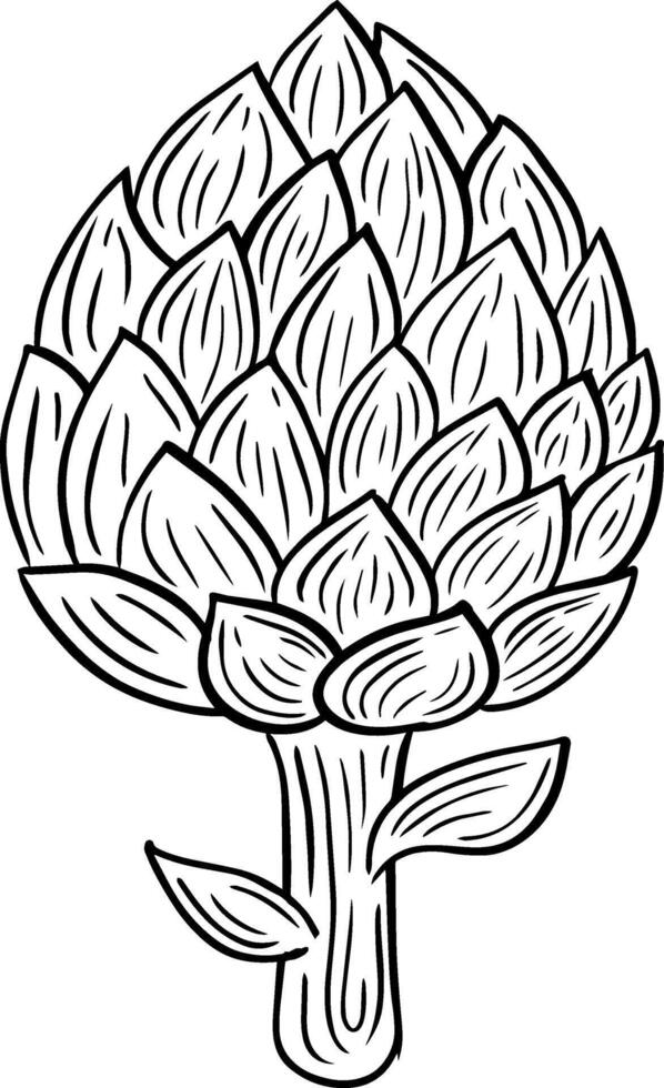 artichoke hand drawn engraved sketch drawing vector