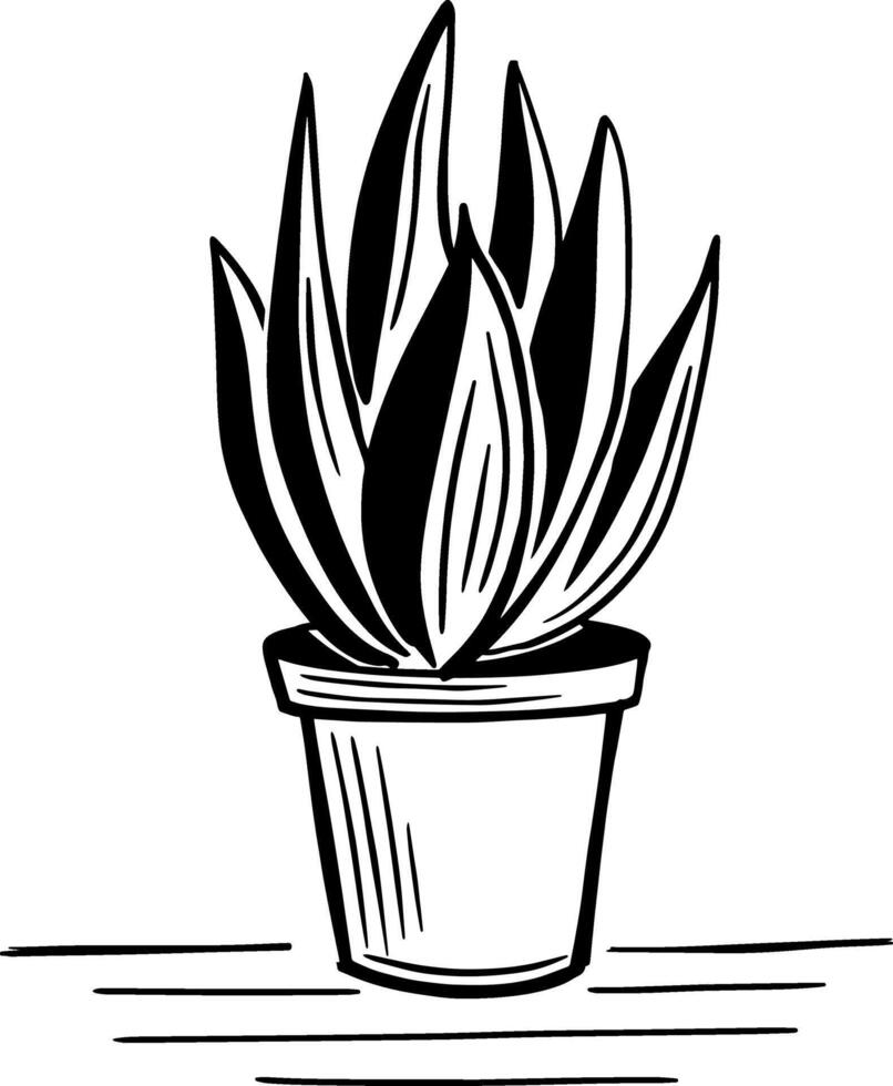 cactus in pot vector drawing