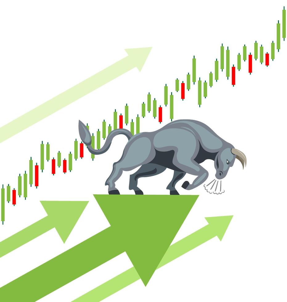 bull market stocks growth vector