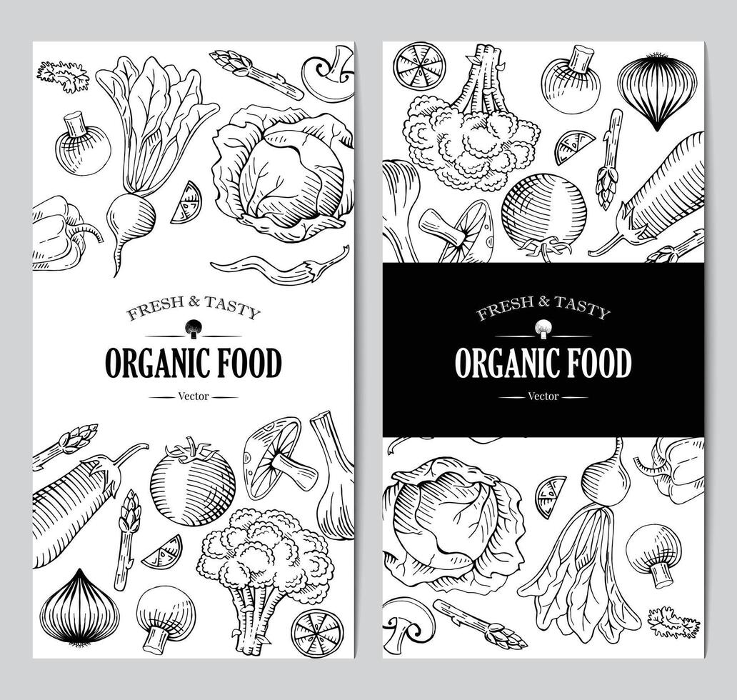 organic vegetarian food banner, roll up standee design template, hand drawn illustration drawing vector