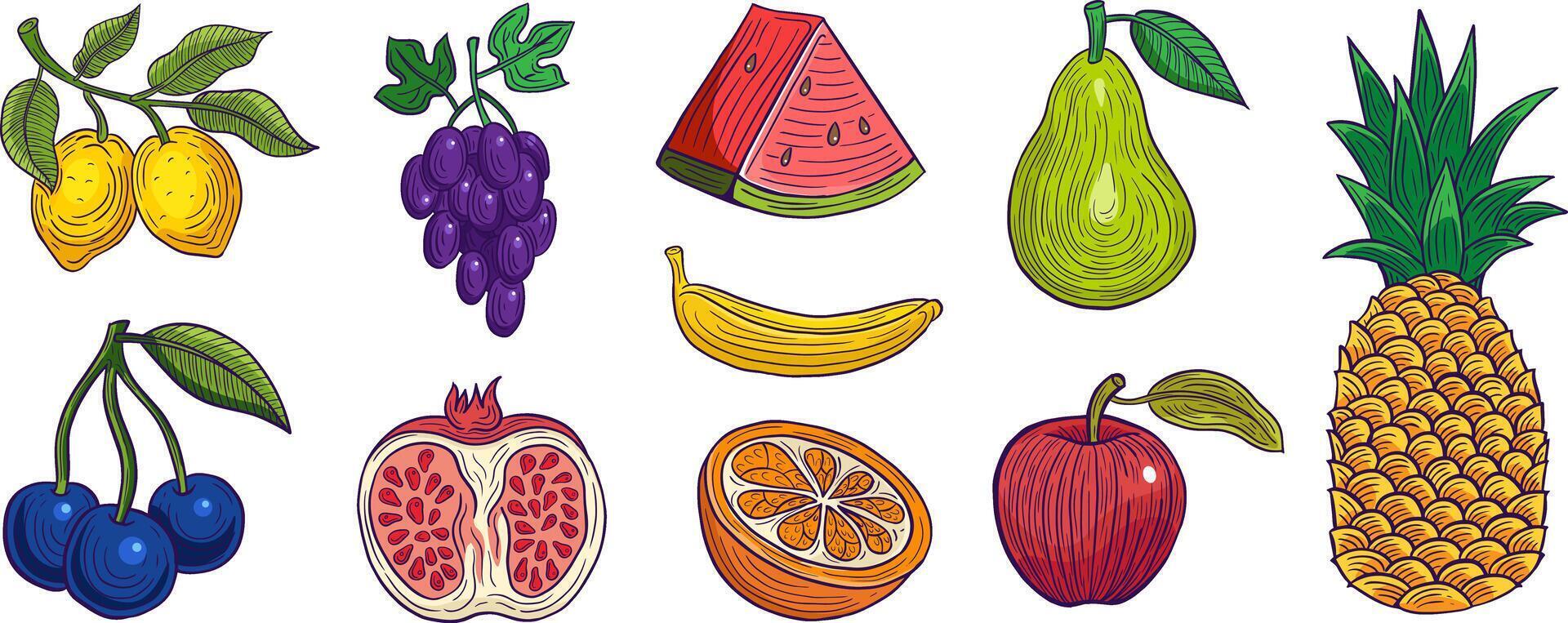 mano dibujado conjunto de frutas de colores vector