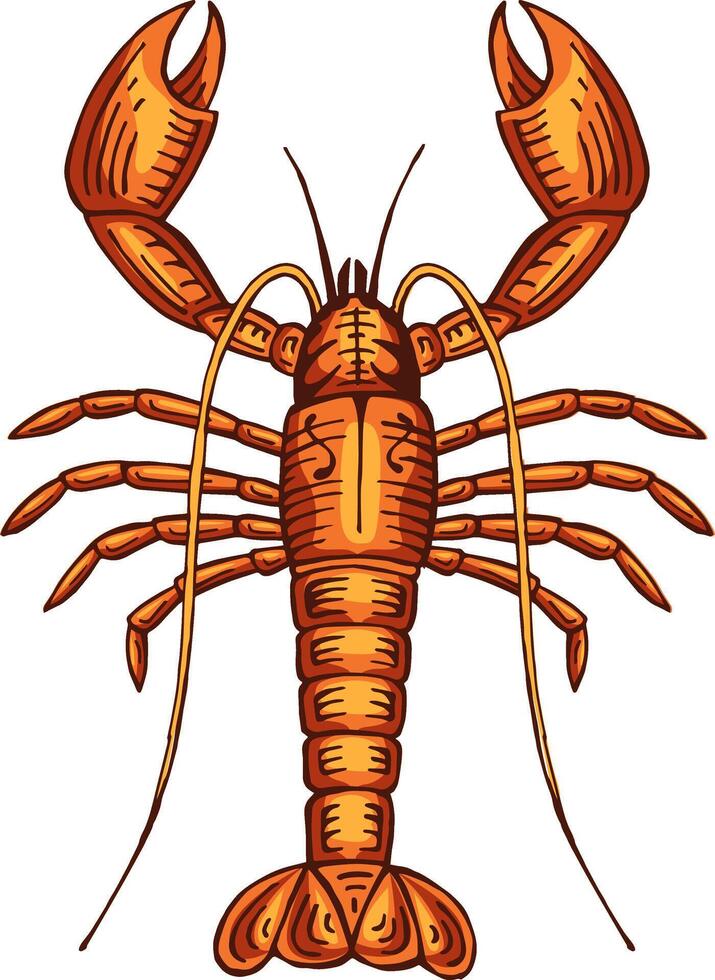hand drawn lobster color vector illustration