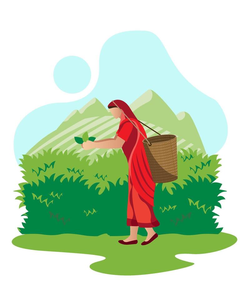 mujer cosecha té hojas en tradicional camino en India, sri lanka vector