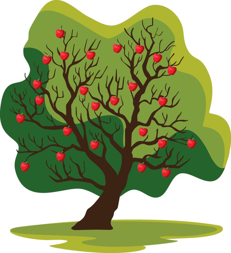 kashmir apple tree isolated vector