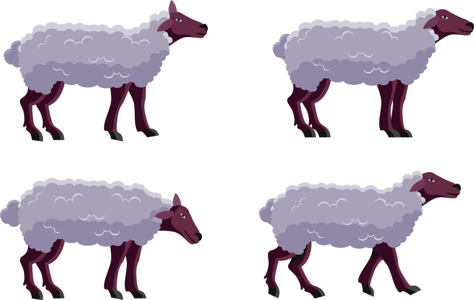 sheep standing in different pose isolated vector