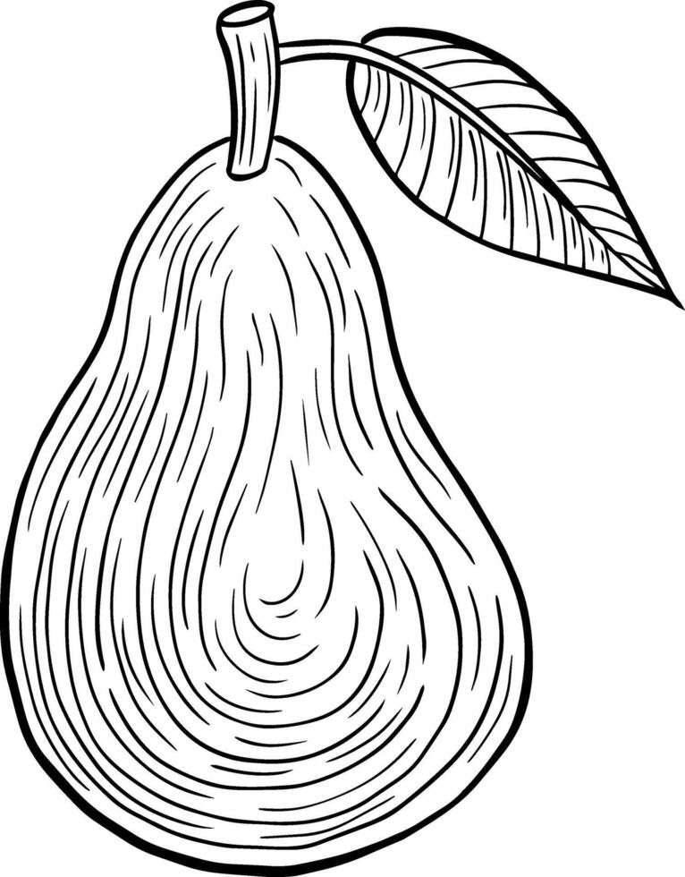 pear fruit hand drawn engraved sketch drawing vector