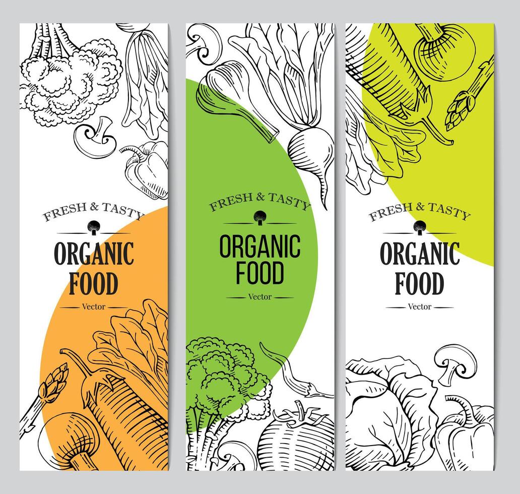 organic vegetarian food banner, roll up standee design template, hand drawn illustration  template vector