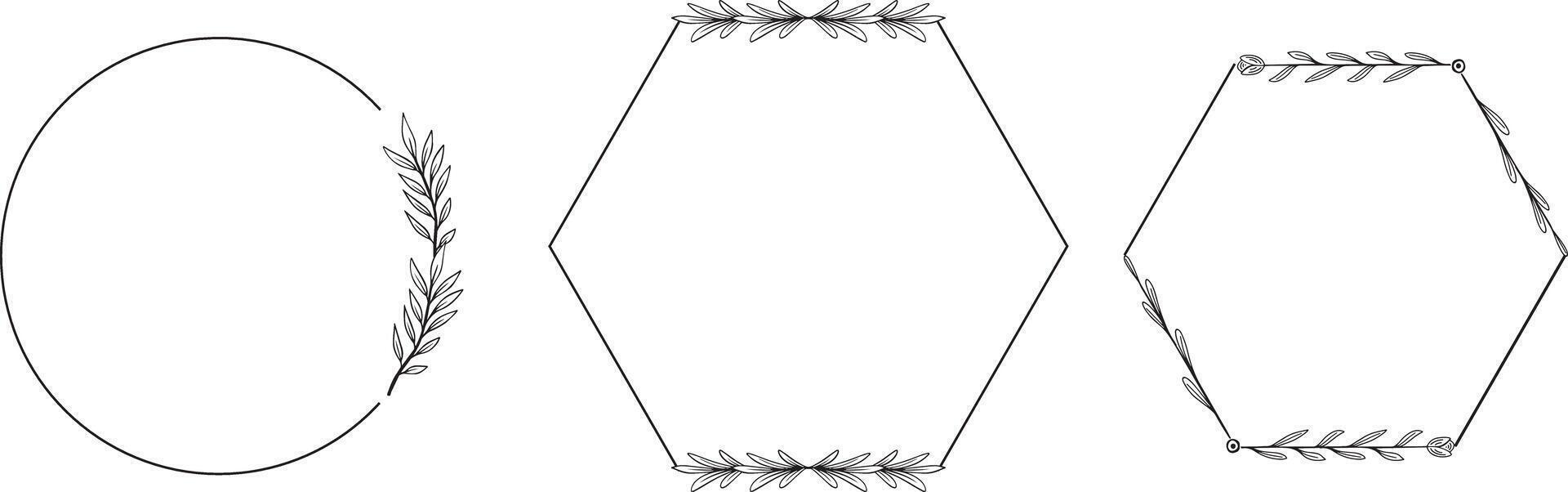 botanical floral frames design elements  hand drawn vector