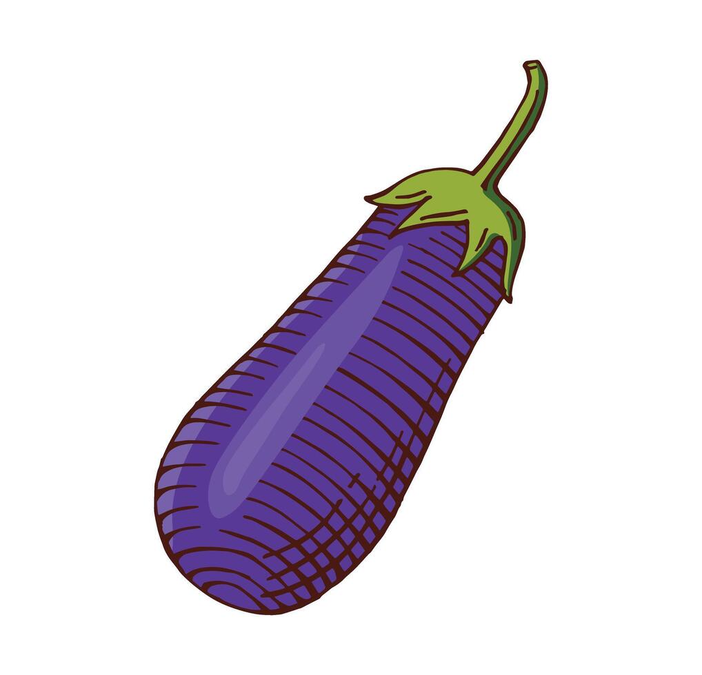 hand drawn brinjal color vector illustration