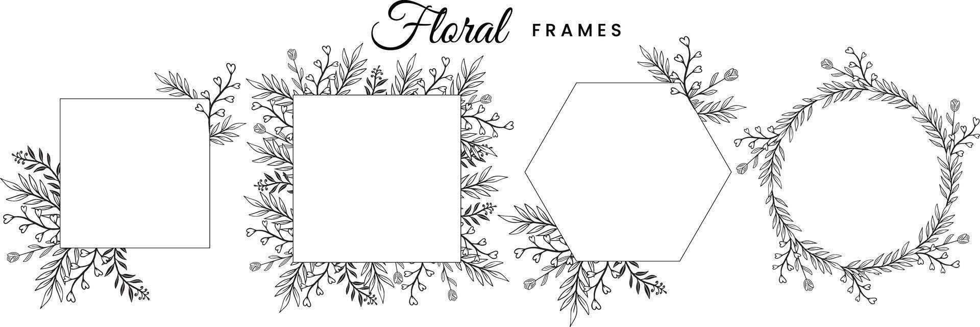 botanical floral frames design elements hand drawn vector