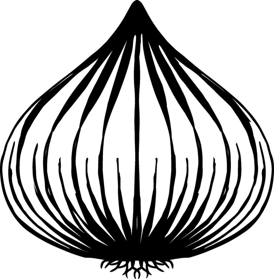 hand drawn onion vector illustration