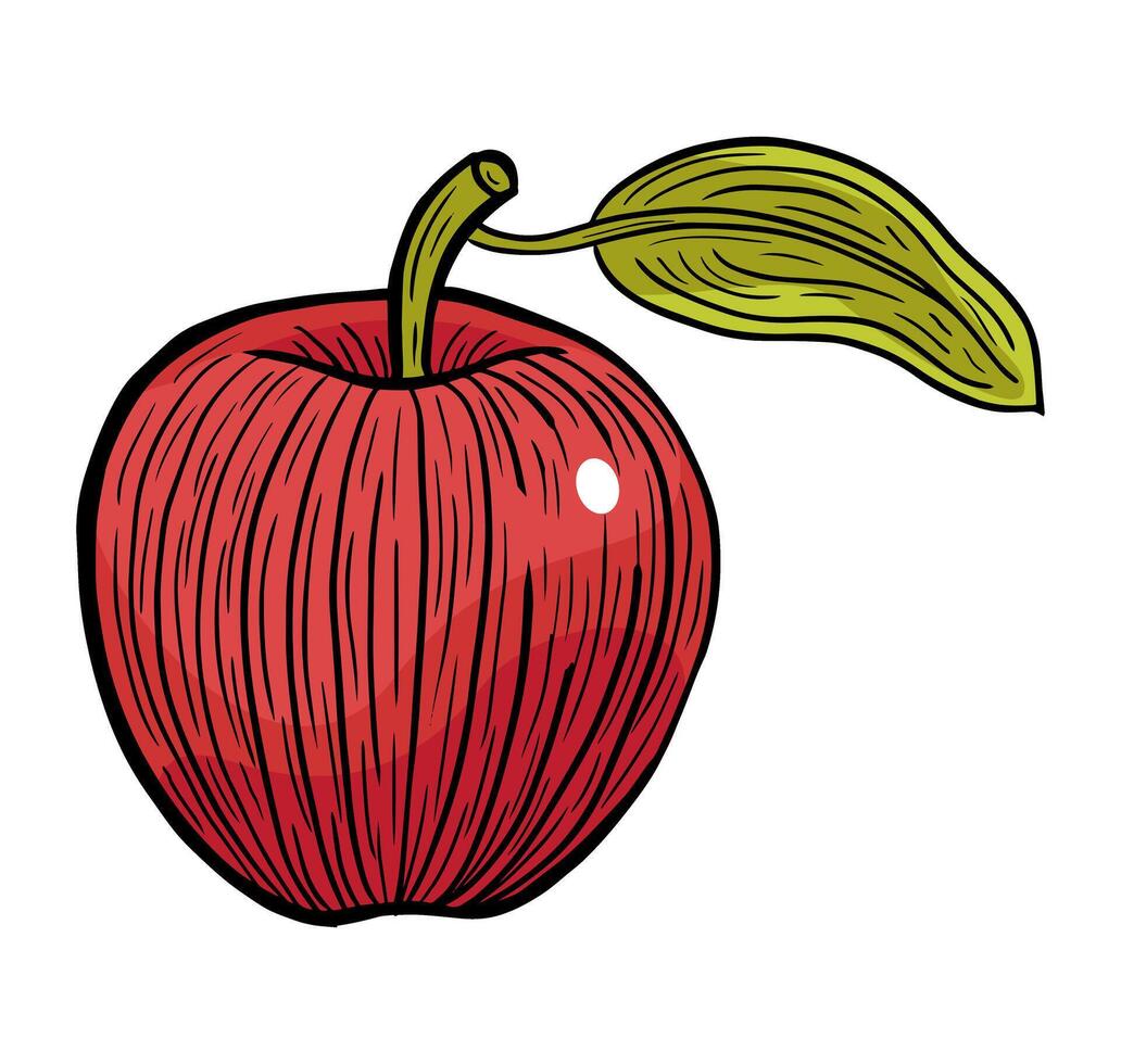 apple fruit hand drawn engraved sketch drawing vector