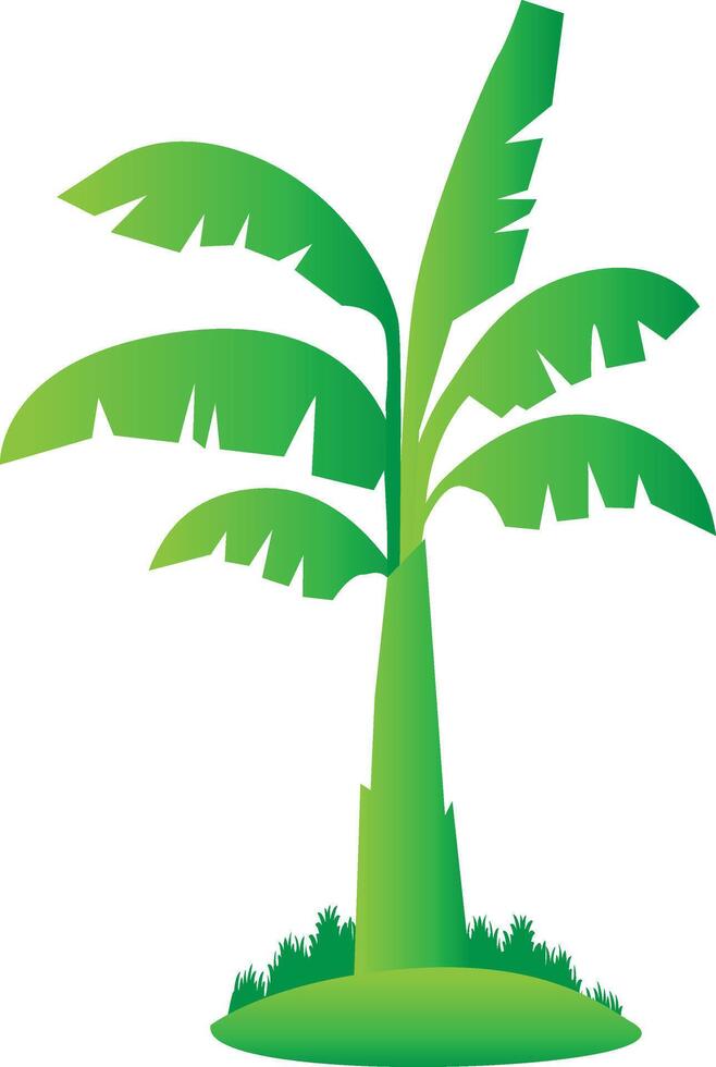 plátano árbol aislado vector ilustración