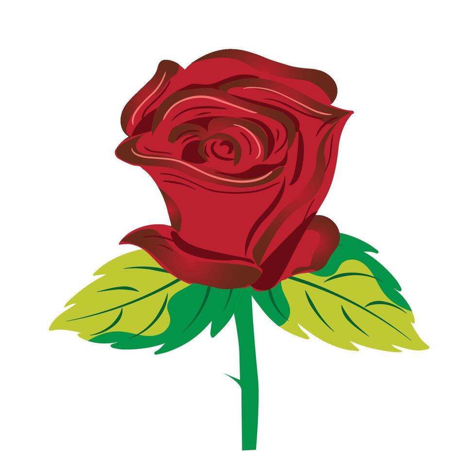 red rose with leaves vector illustration