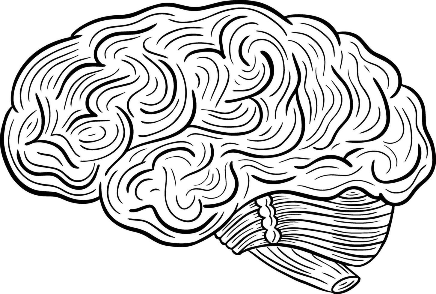human brain hand drawn engraved sketch drawing vector