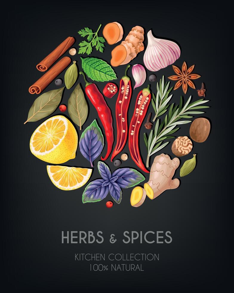 Vector card with high detailed spices and herbs