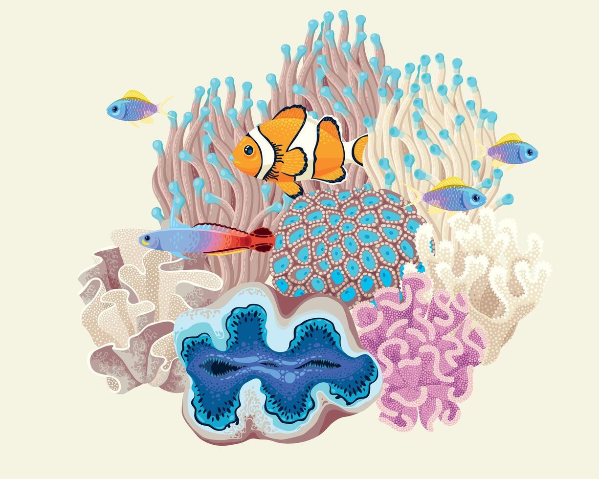 Vector illustration of different corals and fish