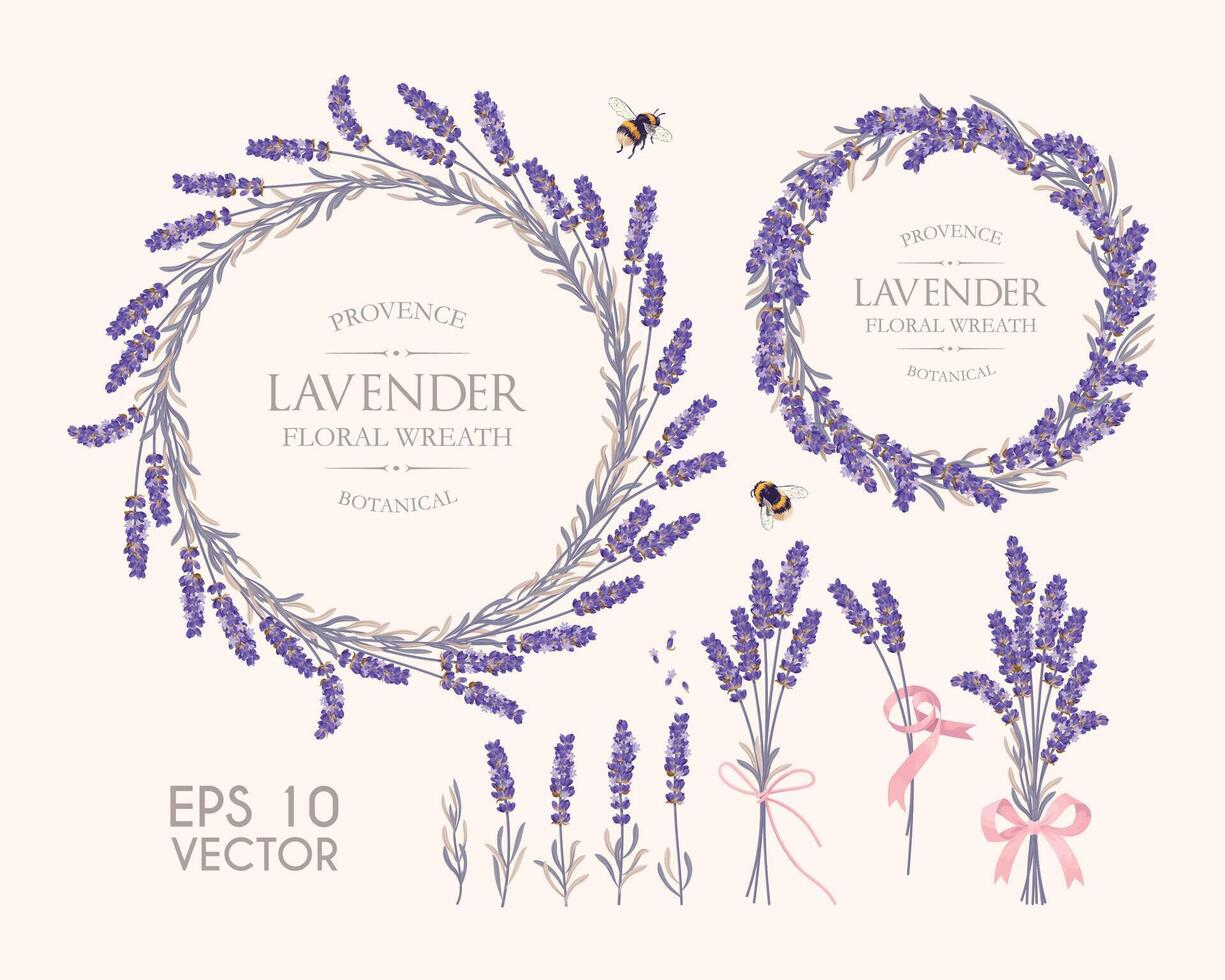 grande conjunto de lavanda flores y coronas vector