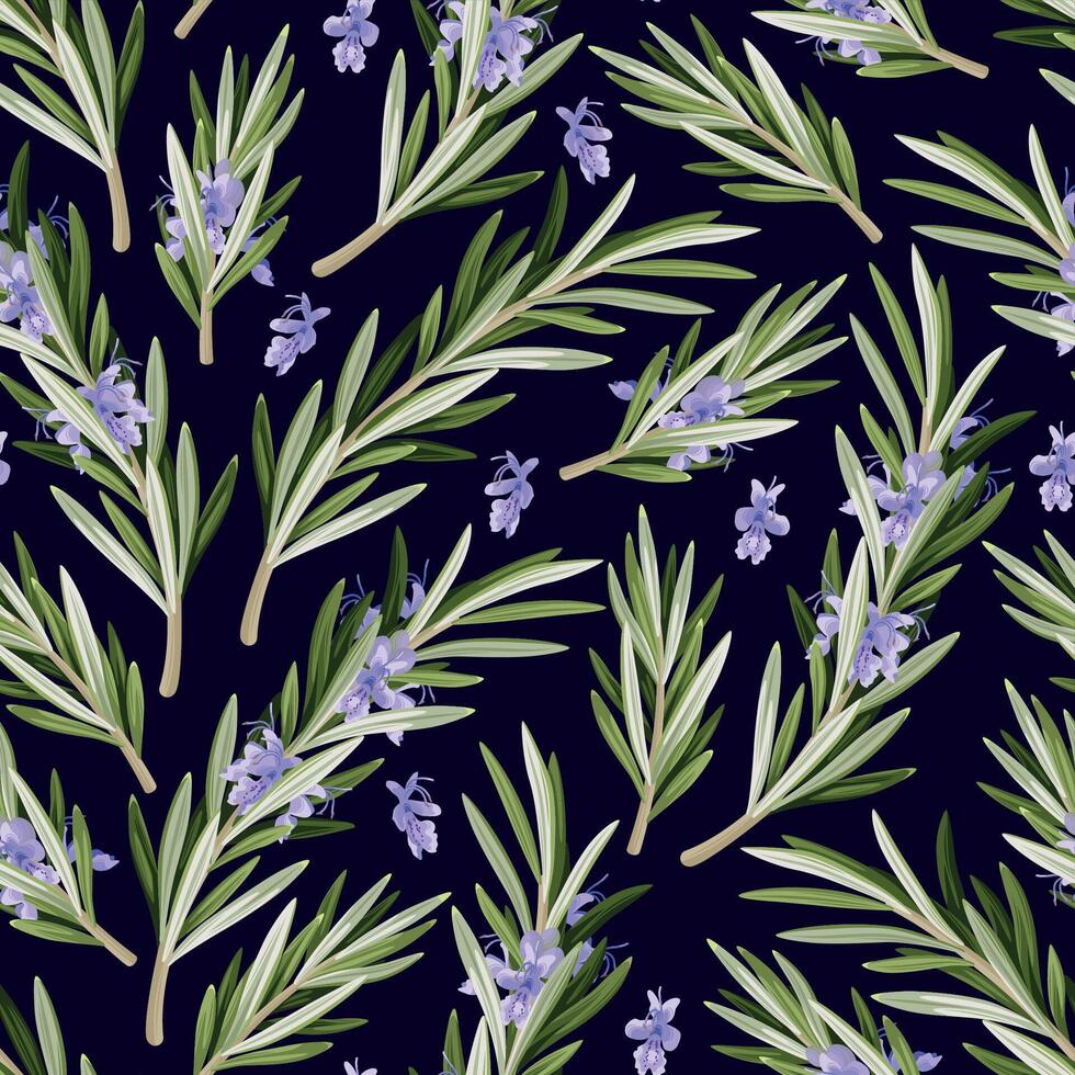 Vector seamless pattern with high detail rosemary