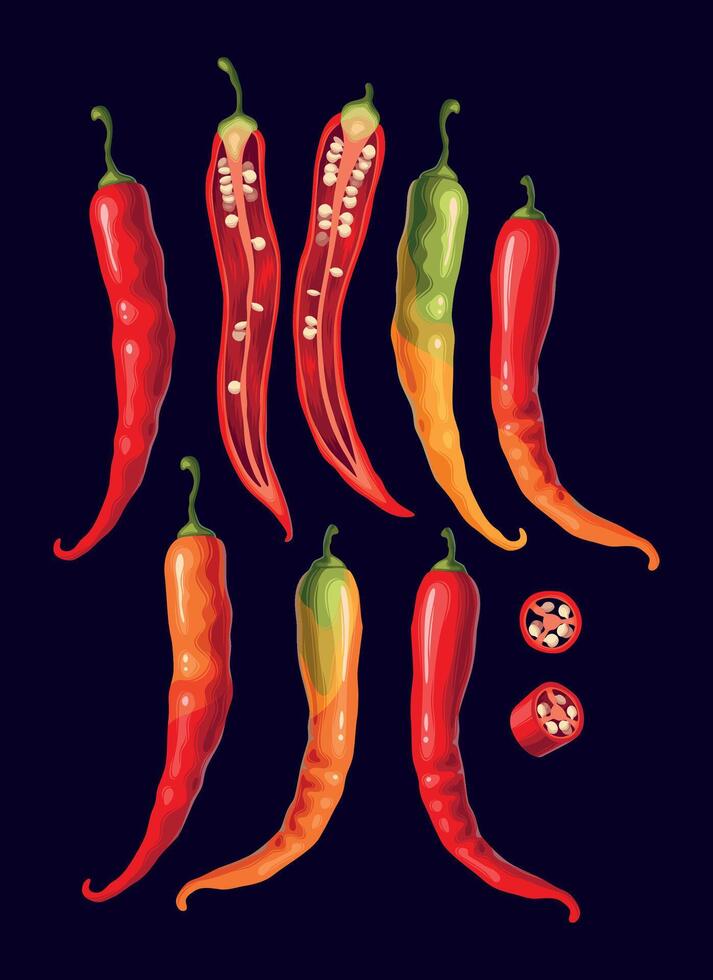 Chili peppers set isolated on white background vector