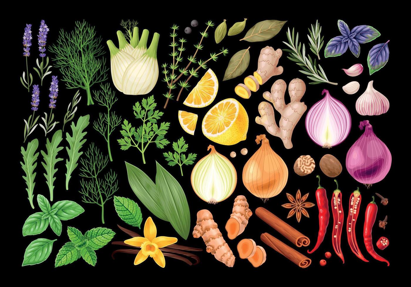 Big vector set of high detailed spices