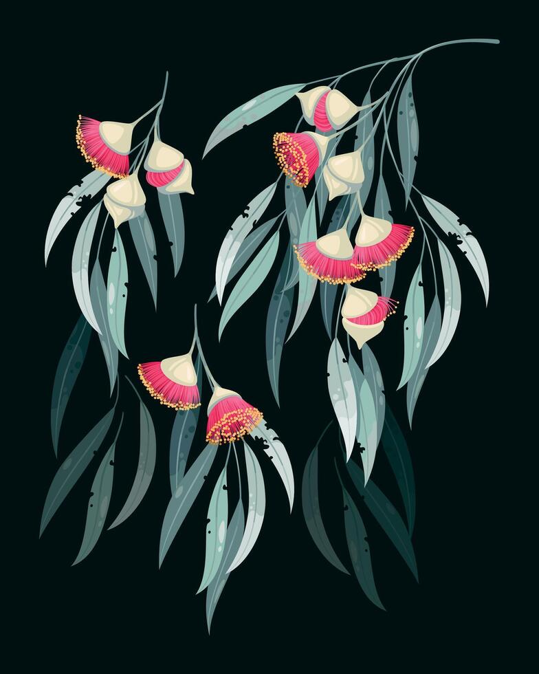 Vector set of eucalyptus flowers and leaves