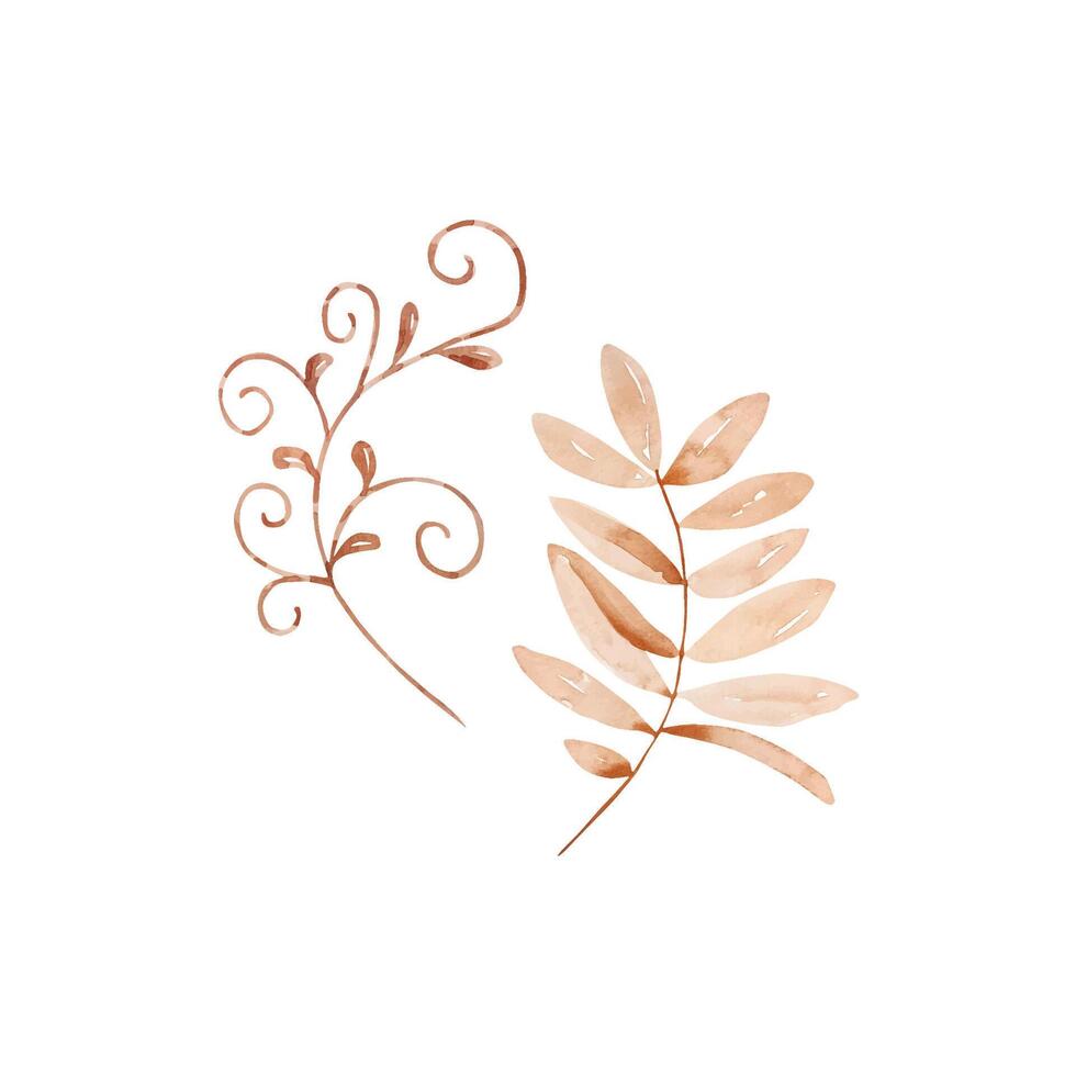 Watercolor set beige tender branch with leaves, autumn floral vector