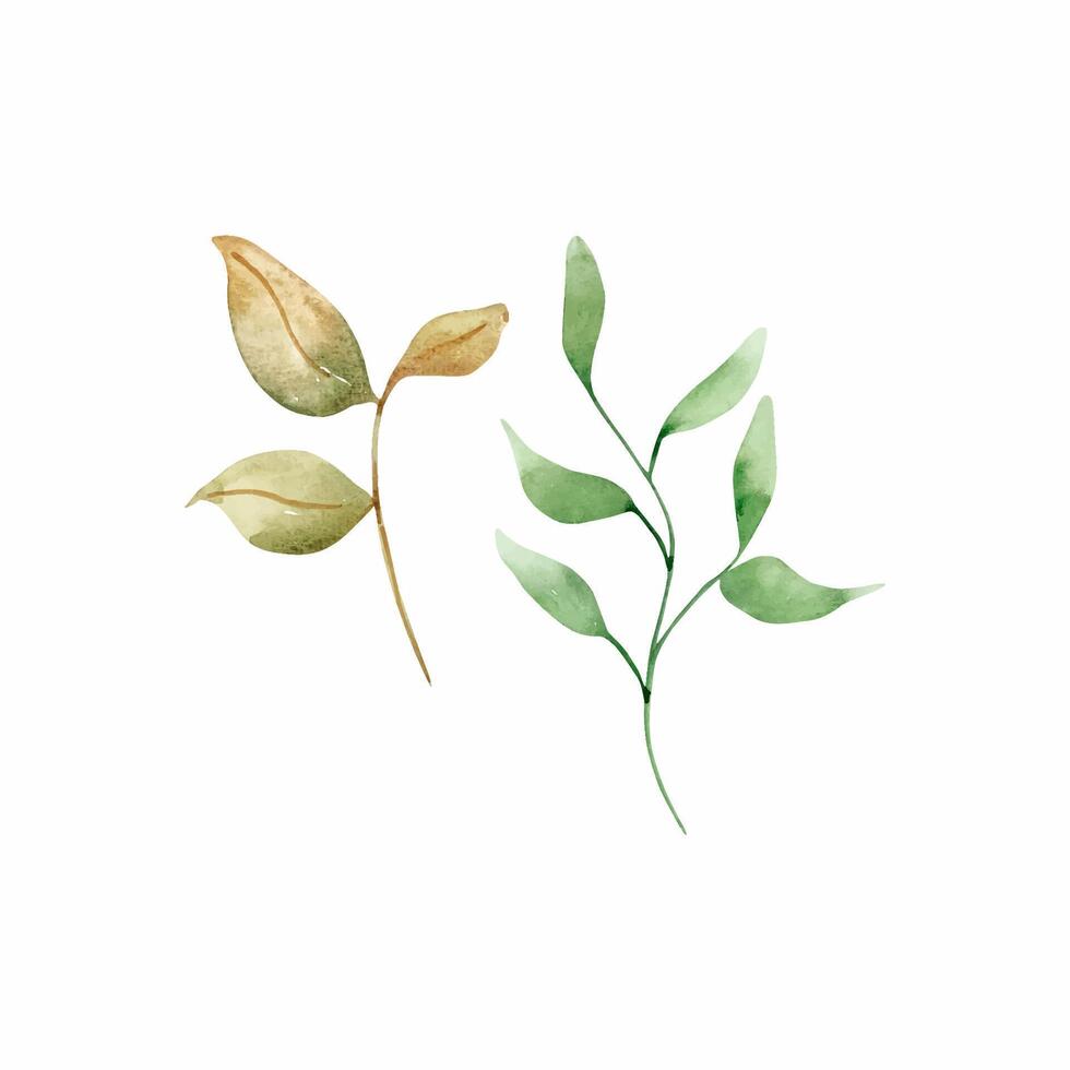 Watercolor set tender branch with leaves vector