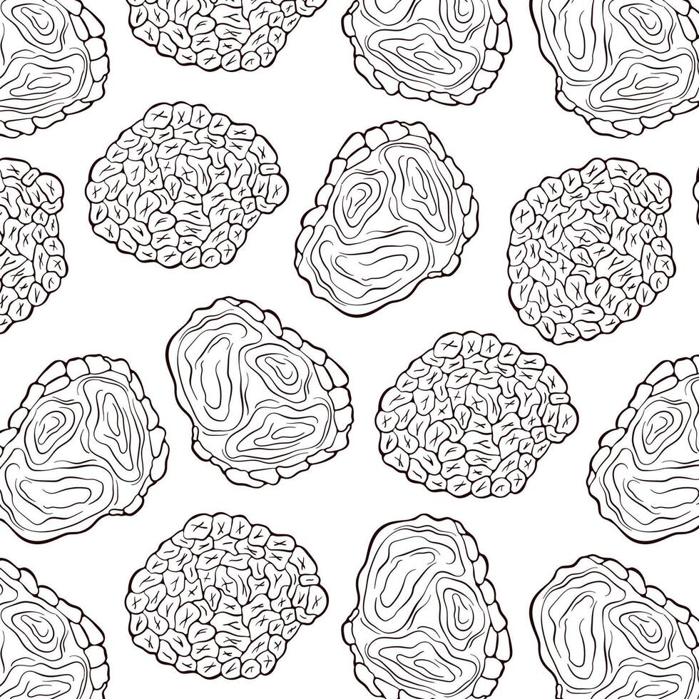 Truffle mushrooms seamless pattern line art style. For wrapping paper, wallpaper, textiles, background. Vector illustration on a white background.