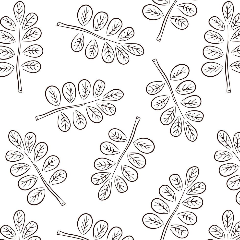 Seamless pattern with acacia leaf in line art style. Design for wallpaper, textile, web page background, spring greeting cards. Vector illustration on a white background.